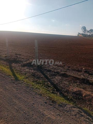 Terre agricole