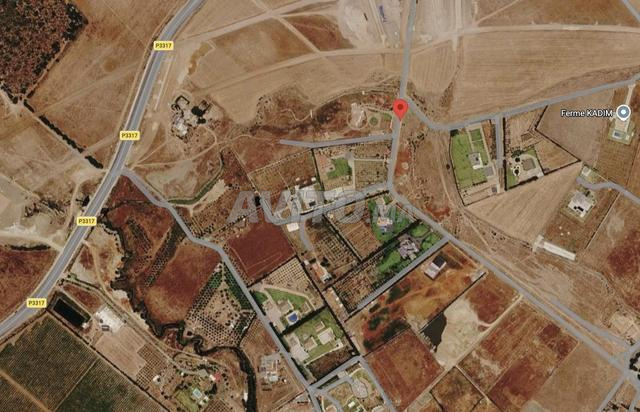 Projet Gîte Rural Complet à Benslimane 1ha titré