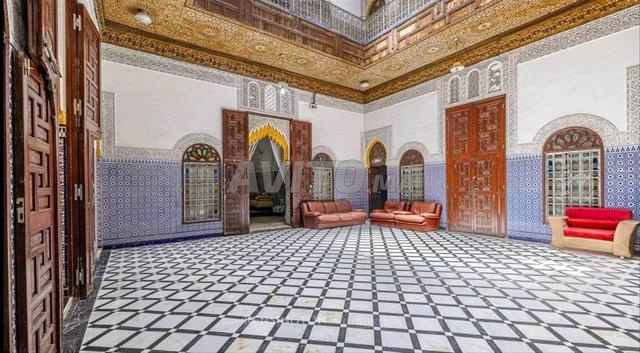 Magnifique Riad - 2