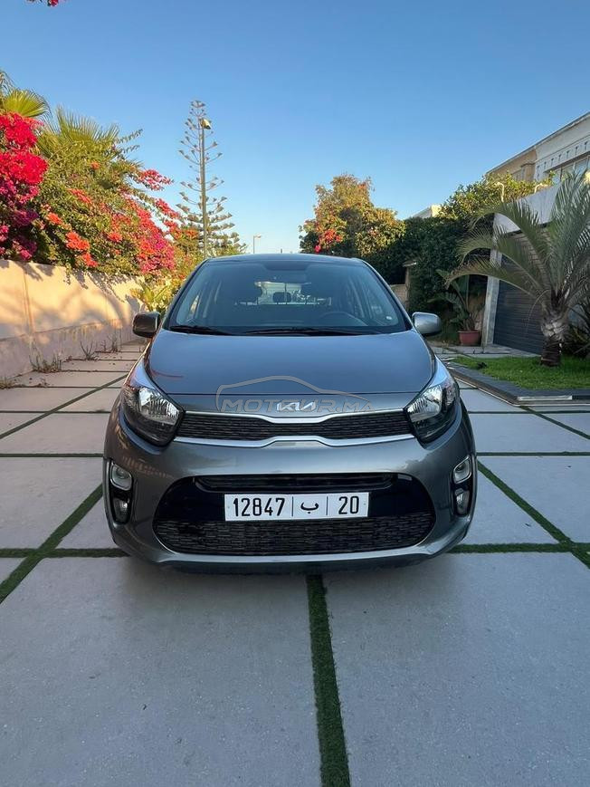 kia pikanto 