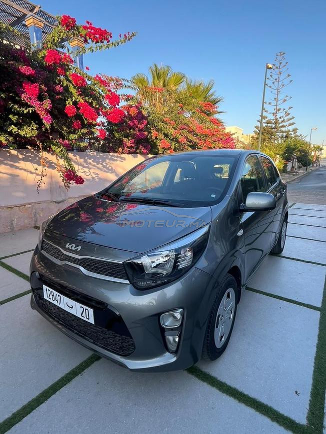 kia pikanto 