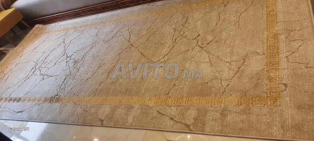 tapis de salon 1.5x 3.5 - 2