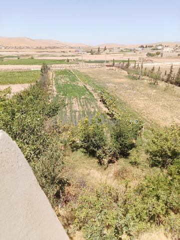 ضيعة مع فيلا - 2