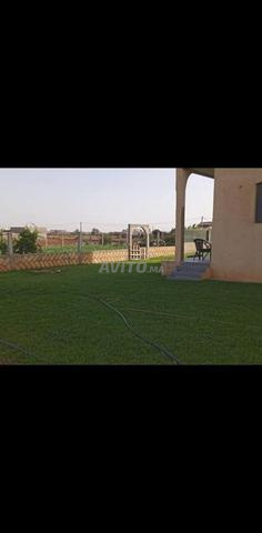 فيلا ومساحات محاطة بسور وبها بئر - 2