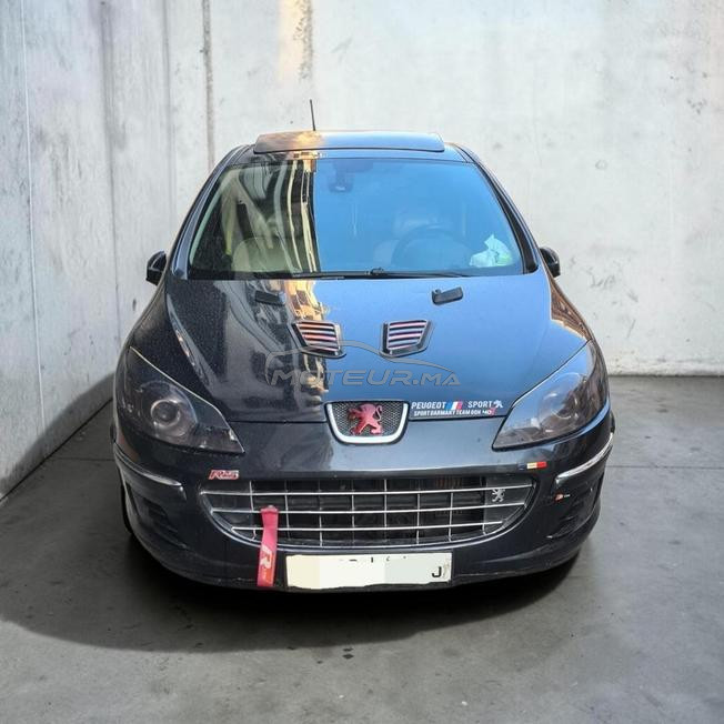 peugeot 407 tt options