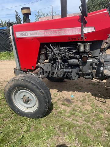 Tracteur Massey Ferguson 290 - 2