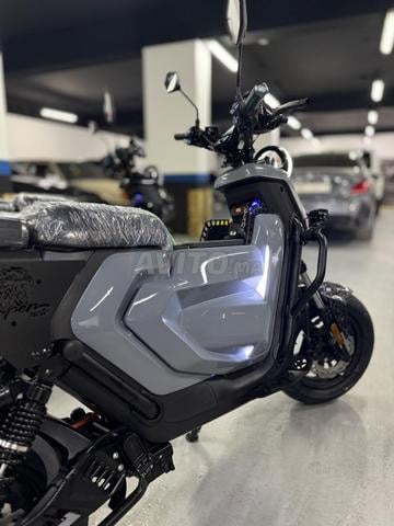 Cooper touring pro smart 2026 - 2