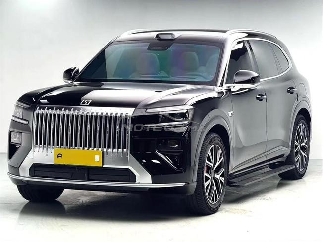 ZEEKR 8X MAX 2026 | 2.0T Plug-in Hybrid