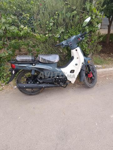 V10 Motard