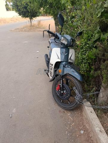 V10 Motard - 2