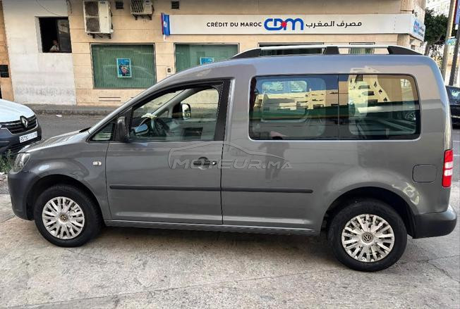 caddy كادي