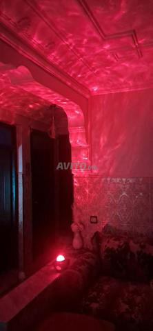 Projecteur LED