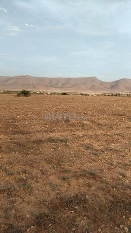 أرض مسجلة للبيع على بعد 14 كم من وجدة