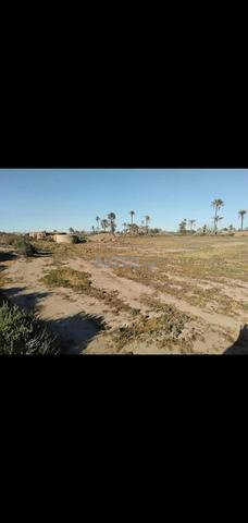 Terrain d'Exception à 17 km de Marrakech - 2