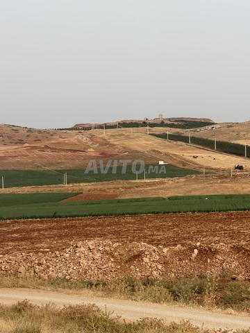 1 hectare à vendre - 2
