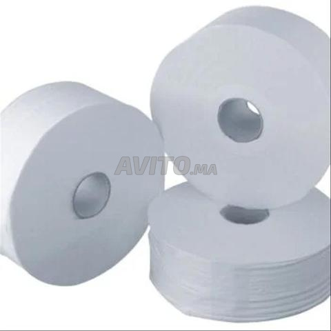 PAPIER HYGIENIQUE GRAND RLX 160 M 2 PLIS 500 GR - 2