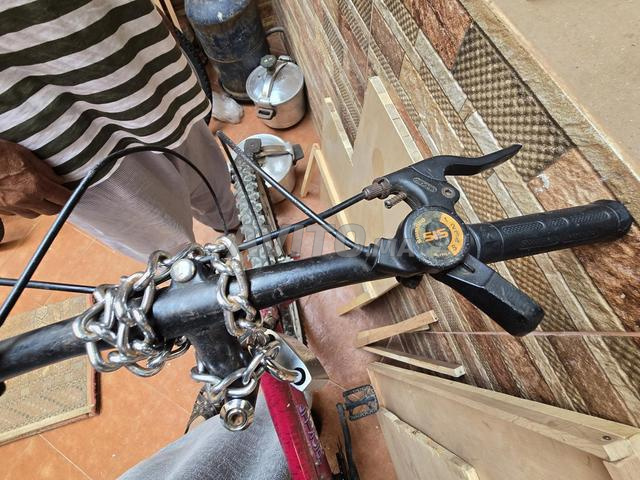 Vélo pour adulte