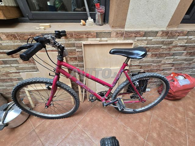 Vélo pour adulte - 2