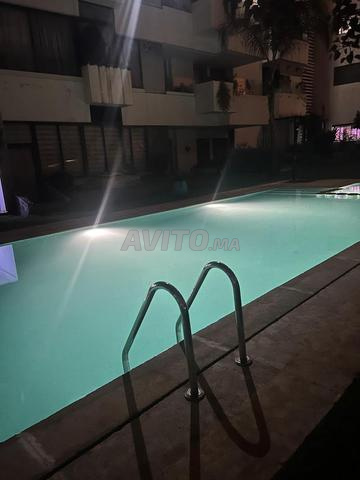 Appartement neuf à louer