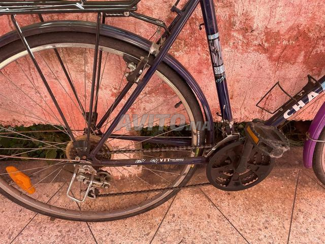 Vélos de ville et VTT - 2