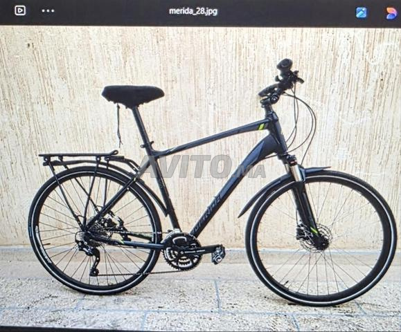 Vélos professionnels prix intéressants - 2