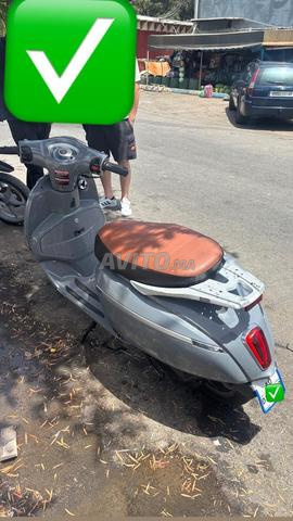 Mojito moto - 2