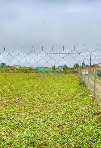Terrain titré à vendre à Benslimane – Zone El Hajiba