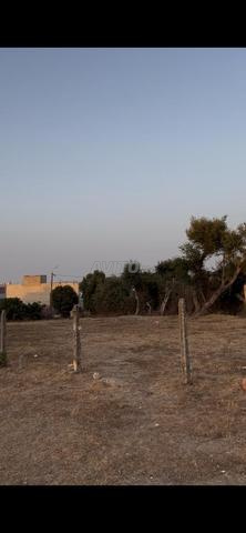 Terrain à vendre à Tarya Akznaya vers Sidi Hssain