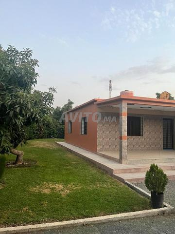Ain Tizgha - 2