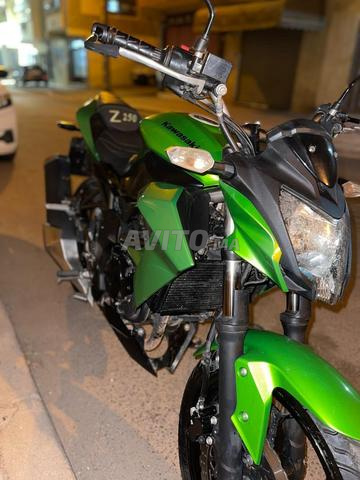 Kawasaki Z250 SL - 2