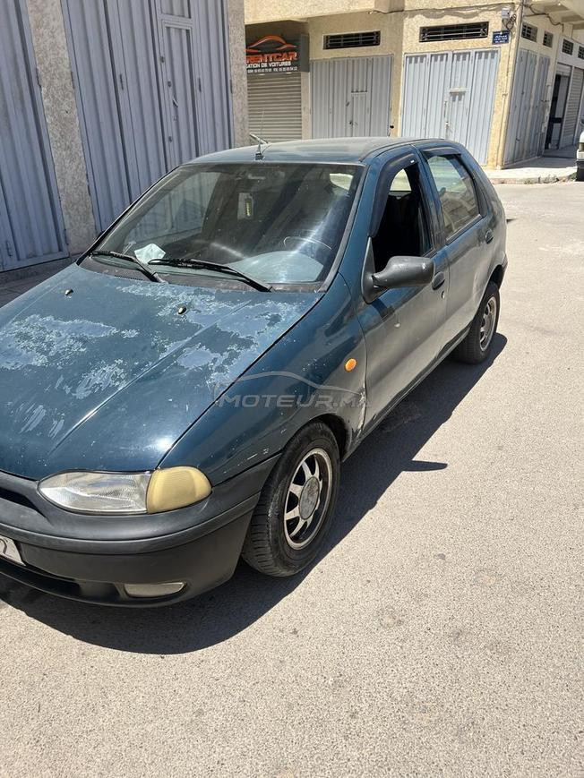 fiat palio 2001