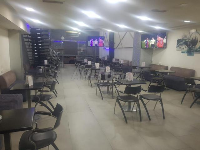 Café Premium tout équipé à Louer à Palmier - 2
