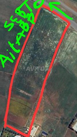 Terrain Agricole titré Ait Abbou Khemisset