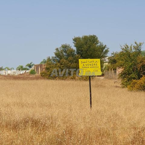 Terrain Agricole titré Ait Abbou Khemisset