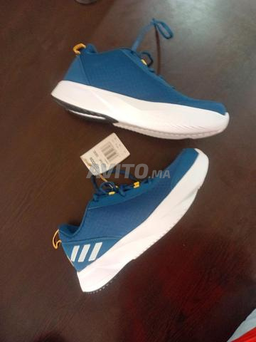 Spadrires Adidas Original
