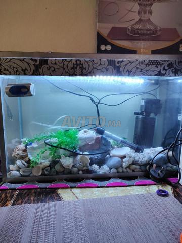 Aquarium