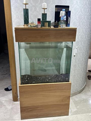 Aquarium à vendre - 2