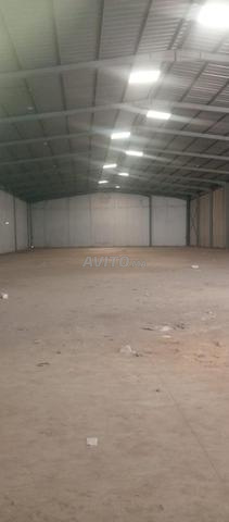 Hangars 5000 m² à vendre