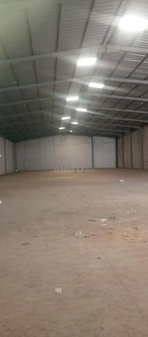 Hangars 5000 m² à vendre - 2