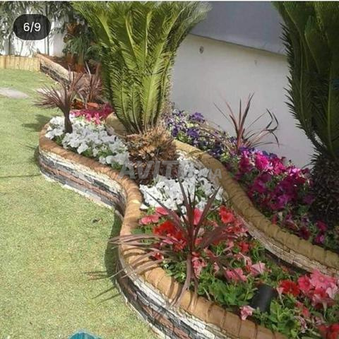 Jardinier à Casablanca - 2