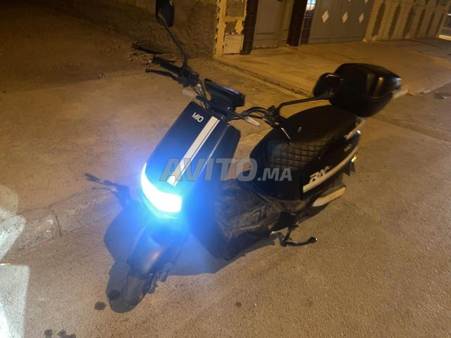 تايج ميو جديد - 2