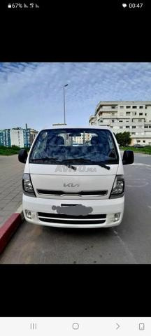Chauffeur professionnel