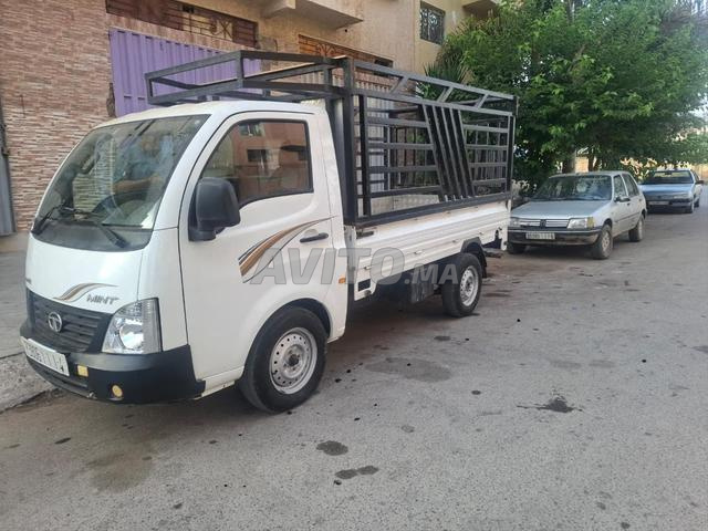تاتا ممتازة للبيع - 2