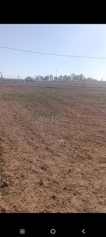 Terrain agricole - 2