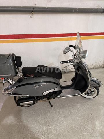 Cimatti Havana 100 cc - 2