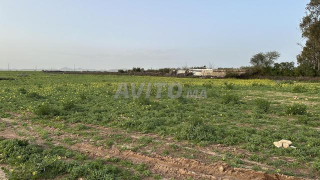 Terrain nu Melkia Villa 2534 m² 4 KM De Marrakech