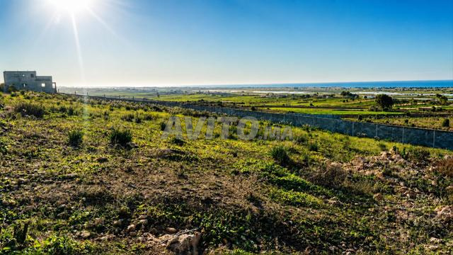 Terrain Titré 3300 m² – Route de Oualidia 240 DH/m²
