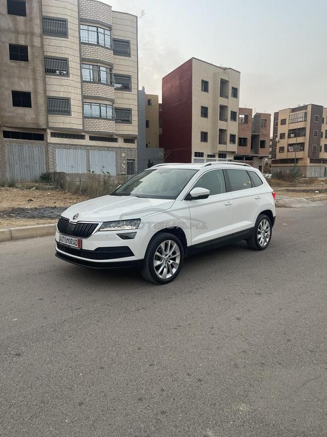 Skoda karoq 2019
