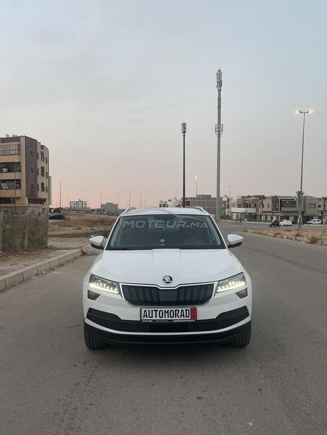 Skoda karoq 2019