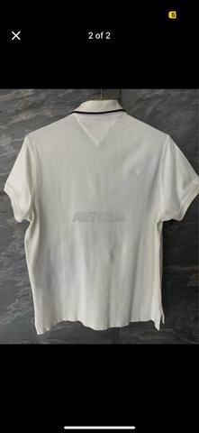 Polo Tommy 🇺🇸 (Medium) - 2